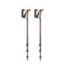 trekking poles for rent in puerto natales for torres del paine in chile