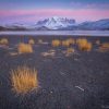 ruta_de_los_parques-tour-torres_del_paine-rental_natales-Patagonia