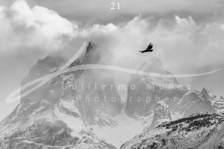 souvenirs: landscape postcard for sale in puerto natales